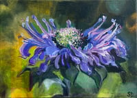 Image 2 of Bee Balm-a-loo-ya