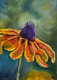 Image 2 of Robert’s Black-Eyed Susan