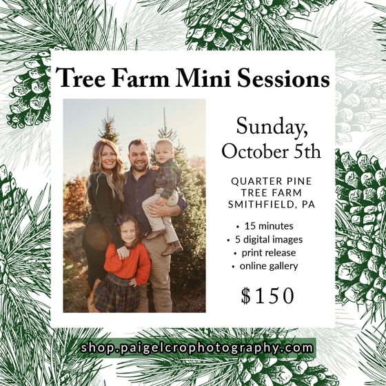 Image of Tree Farm Mini Sessions - DAY THREE