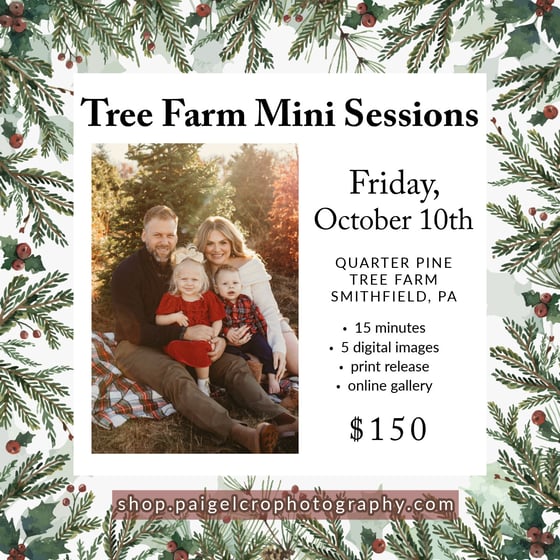 Image of Tree Farm Mini Sessions - DAY FOUR
