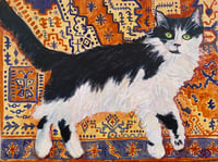 Image 2 of Phoebe’s Magic Carpet Ride