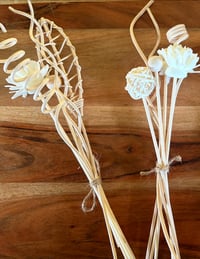 Image 4 of FLOWER REEDS 