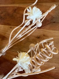 Image 1 of FLOWER REEDS 