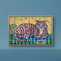 Image 1 of Fleetwood Mackerel 