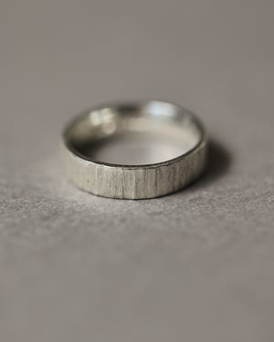Image of 9ct white gold, 5mm, flat court, horn textured ring