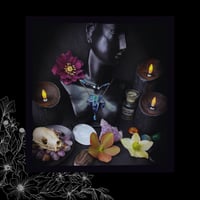 Image 3 of 🜧 Hedera Cerulea 🜧