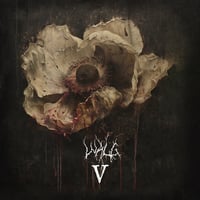 WALG "V" LP