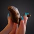 Humpback Whale resin figure Image 5