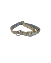 Sun on Gold - Dog Collar 