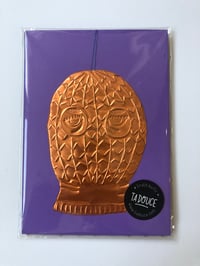 Cagoule cuivrée 1/1