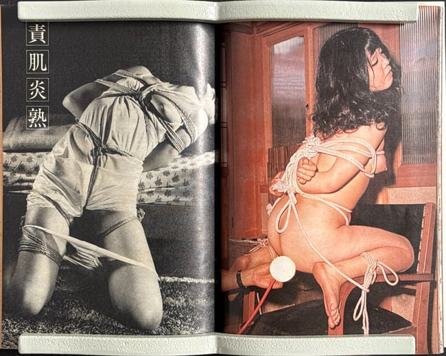 SM Fan "Special Edition", 1978.12