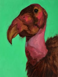 California Condor