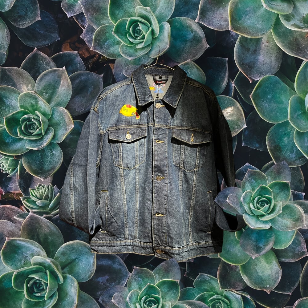 Blue Denim 