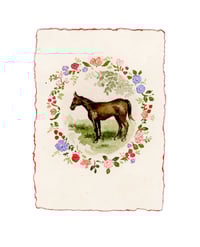 brown horse (red edge)