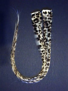 Image of Cheetah singles