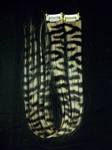 Image of Zebra Singles