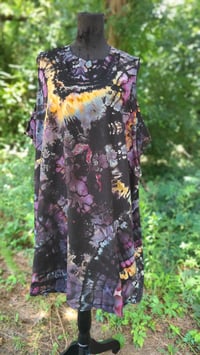 Image 2 of African Daisy Petals