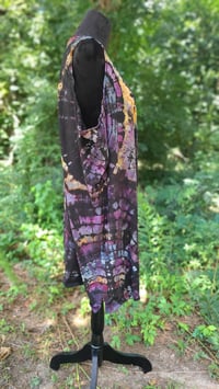 Image 4 of African Daisy Petals