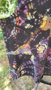 Image 6 of African Daisy Petals