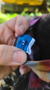 Image 8 of African Daisy Petals