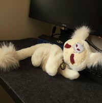 Image 8 of Timba Cat 💀🪦🌱