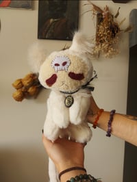 Image 5 of Timba Cat 💀🪦🌱