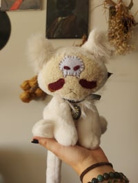 Image 9 of Timba Cat 💀🪦🌱