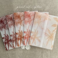 Image 4 of Palm trees printed vellum wrap for 5x7 cards PACK of 10