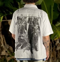 Image 3 of Jíbaro Moderno