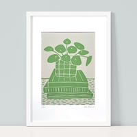 Image 1 of Pilea Fabric Print