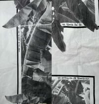 Image 5 of Jíbaro Moderno