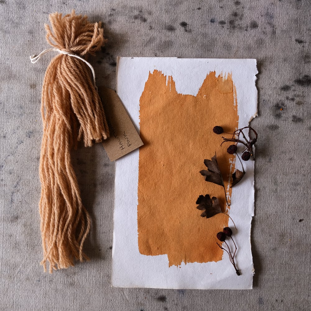 Image of Bristol Cloth 3rd Edition: Dartmoor Dyes - Hawthorn