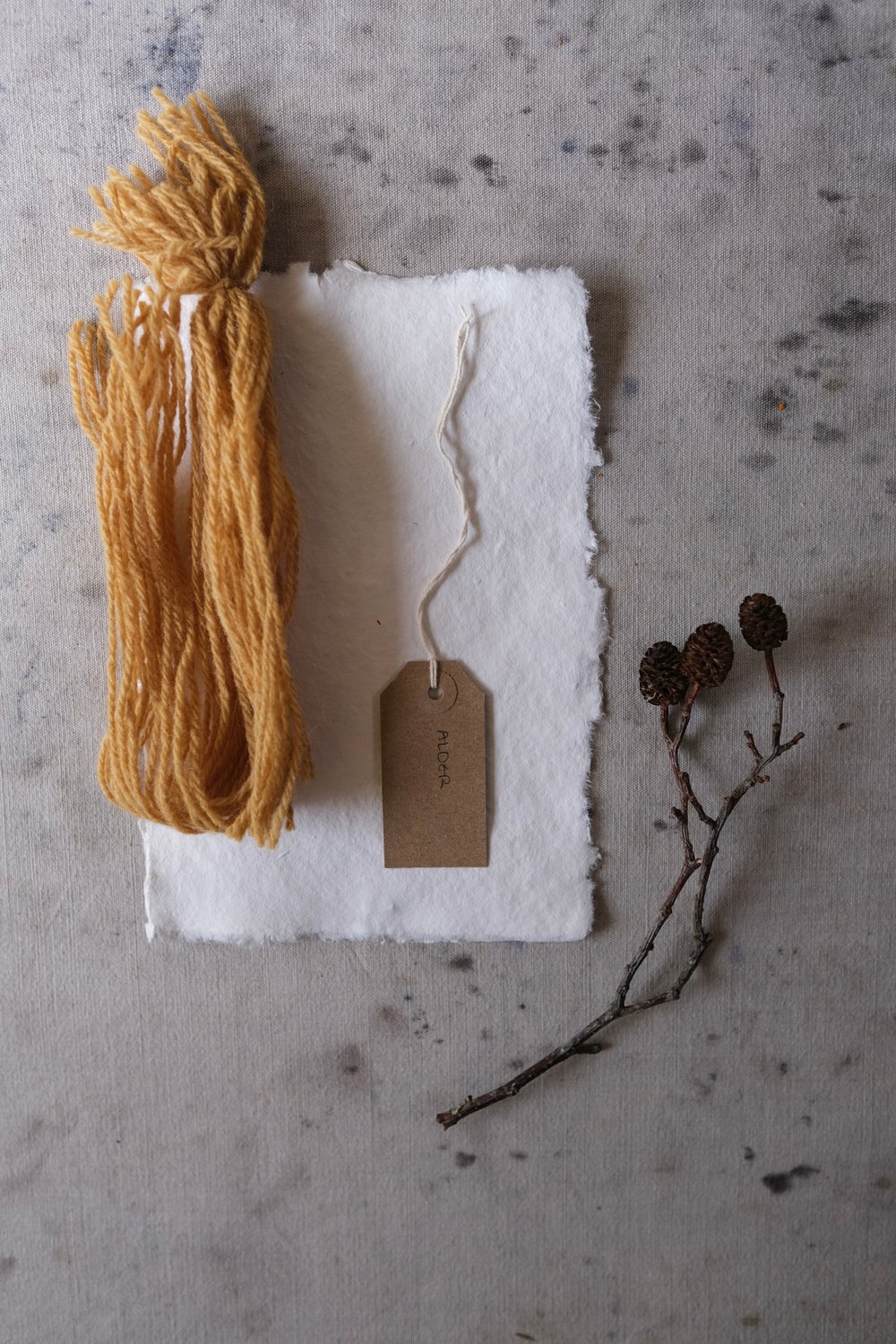 Image of Bristol Cloth 3rd Edition: Dartmoor Dyes - Alder