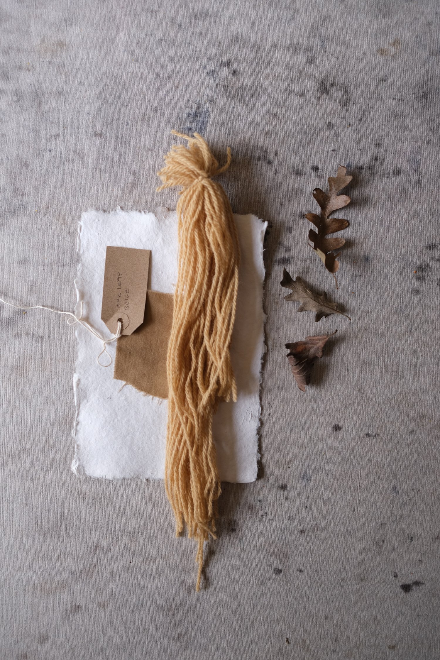 Image of Bristol Cloth 3rd Edition: Dartmoor Dyes - Oak