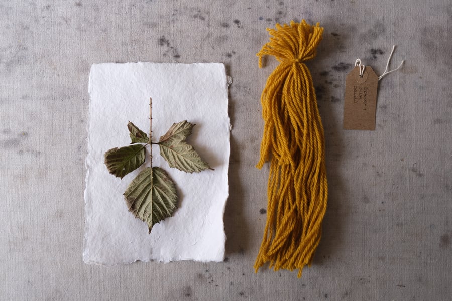 Image of Bristol Cloth 3rd Edition: Dartmoor Dyes - Bramble
