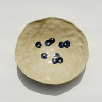 Blueberry Dish
