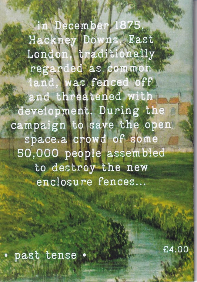 Green Beneath the Skies