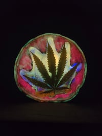 Image 1 of Leaf10 tray