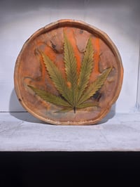 Image 3 of Leaf10 tray
