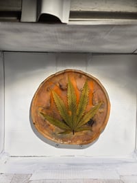 Image 2 of Leaf10 tray