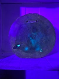 Image 6 of Leaf10 tray