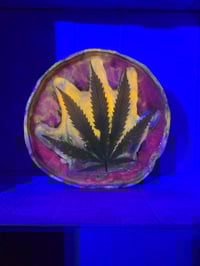 Image 4 of Leaf10 tray