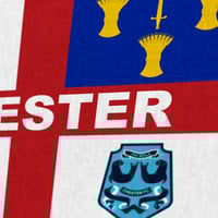 Image 2 of Chester Cheshire