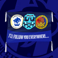 Image 1 of Follow You Everywhere