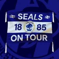 Image 1 of Seals on Tour