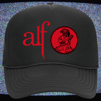 Image 2 of An ALF Inside Hat 