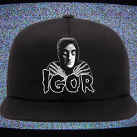 Image 2 of I WANT YOUR HUNCH Hat 