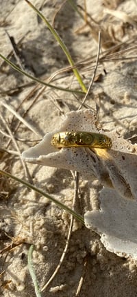 Image 2 of Celestial Ring