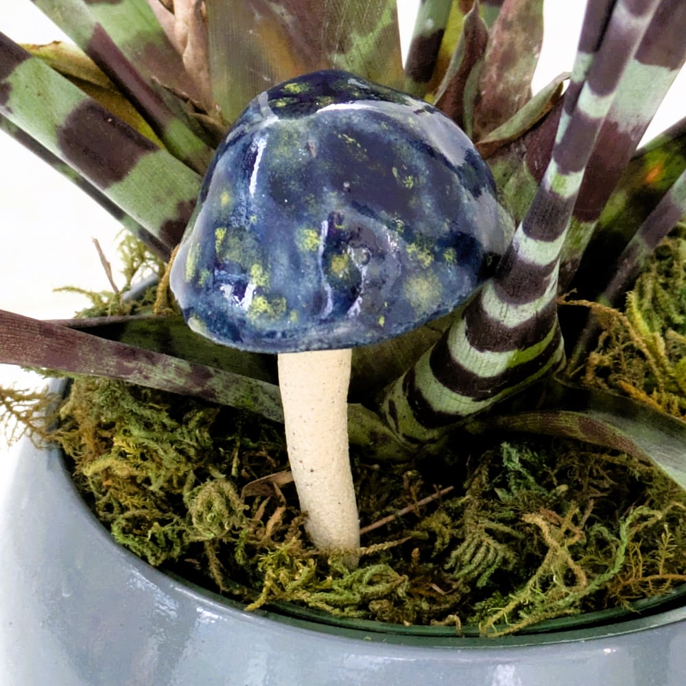 Image of Decorative Mushroom Plant Stake-Choose your Color