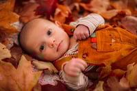 Image 2 of 10-26-25 Mini Session Deposit